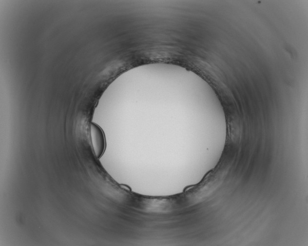 X0000111530575200908041307