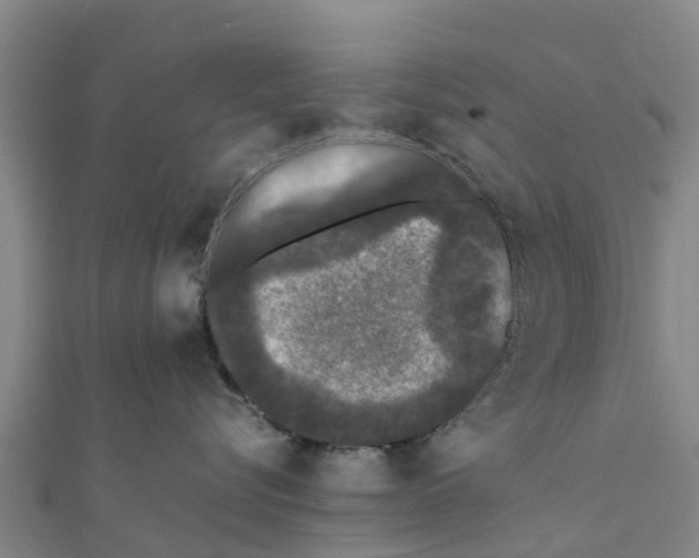 X0000111530576200908041307