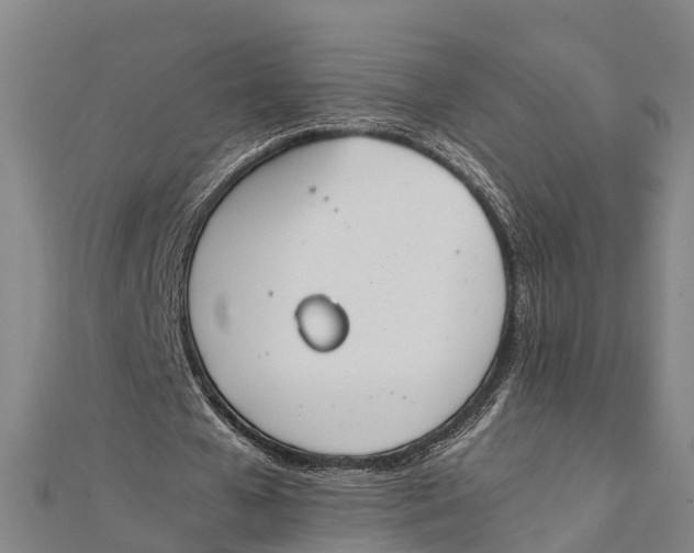 X0000111530577200908041306