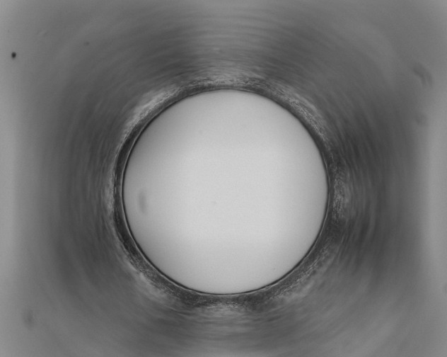 X0000111530578200908041306