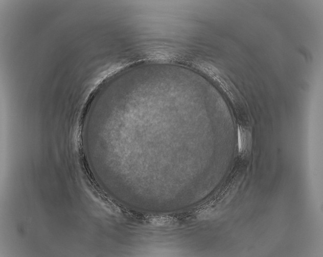 X0000111530579200908041306