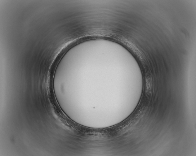 X0000111530580200908041306