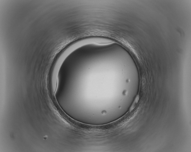 X0000111530581200908041306