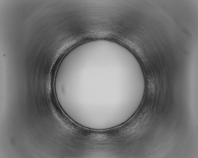 X0000111530582200908041306