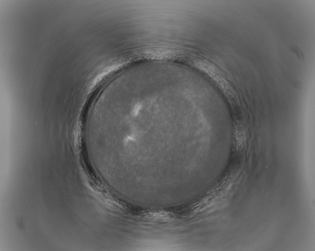 X0000111530583200908041306