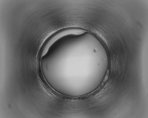 X0000111530584200908041306