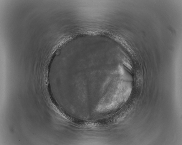 X0000111530585200908041306