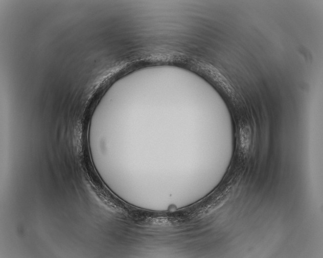 X0000111530588200908041306