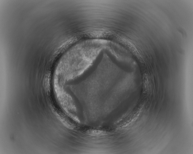 X0000111530590200908041306