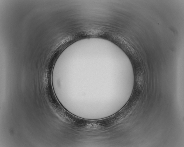 X0000111530591200908041306