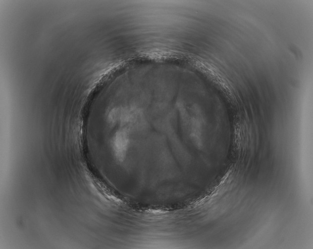 X0000111530592200908041306