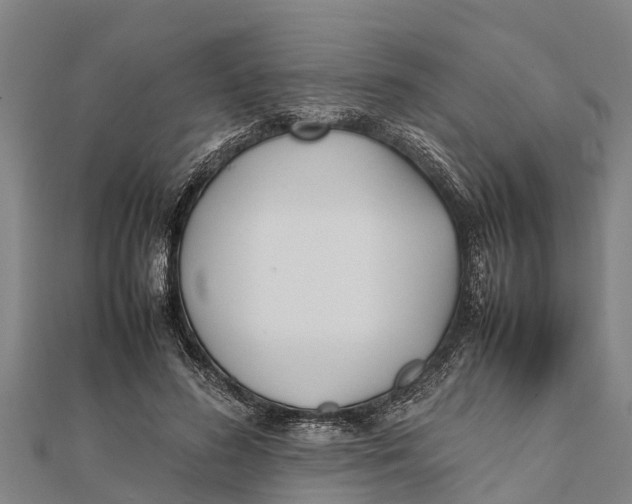 X0000111530596200908041306