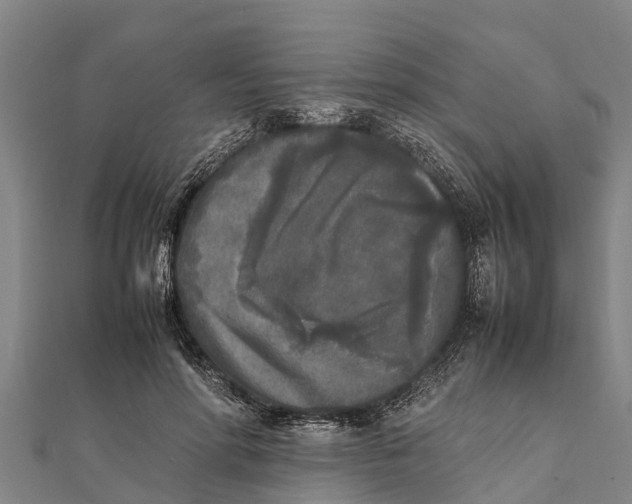 X0000111530598200908041306