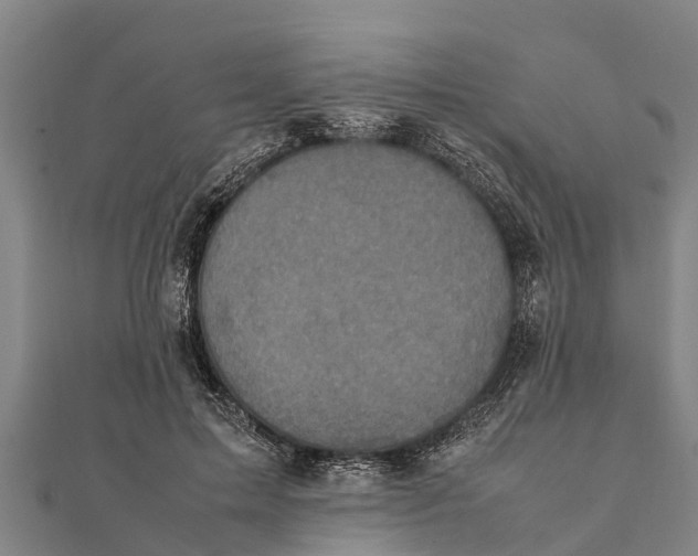 X0000111530599200908041306