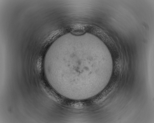 X0000111530600200908041306