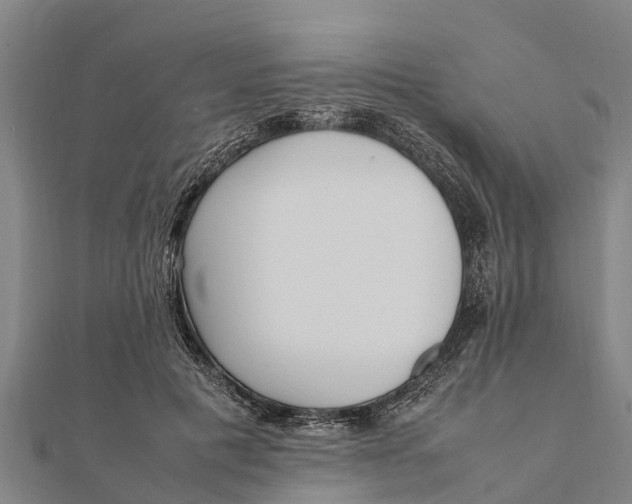 X0000111530601200908041306