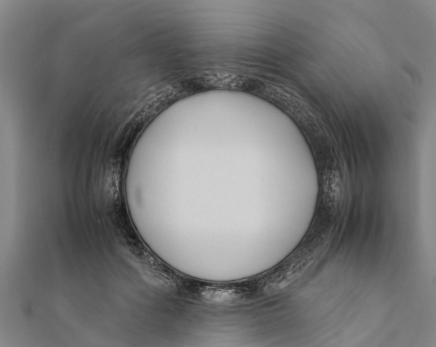 X0000111530602200908041306