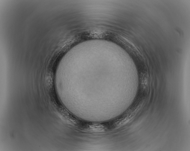 X0000111530603200908041306