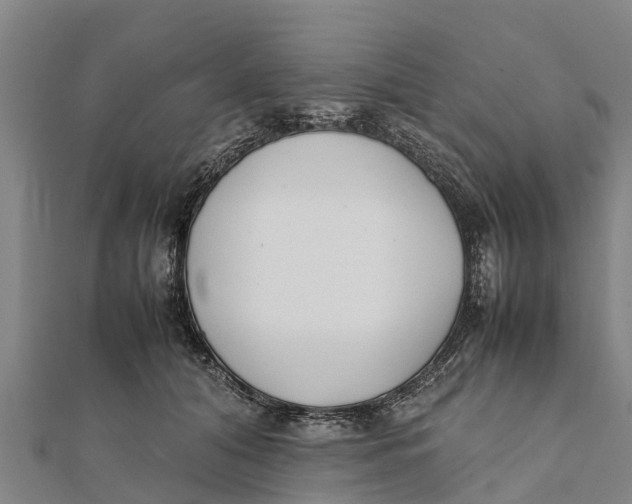 X0000111530608200908041306