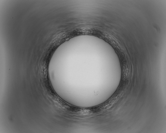 X0000111530609200908041306