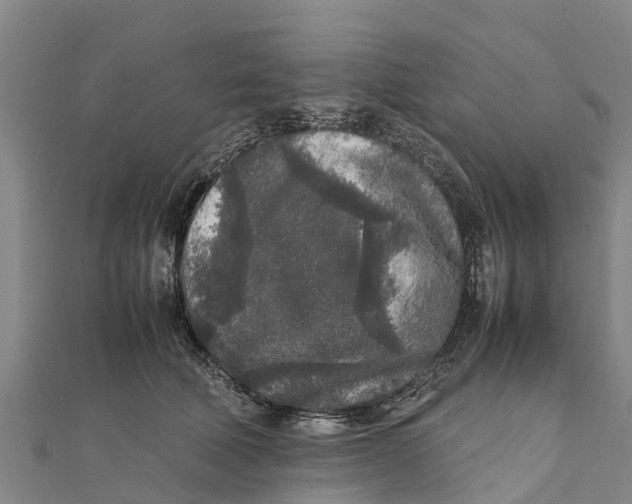 X0000111530610200908041306