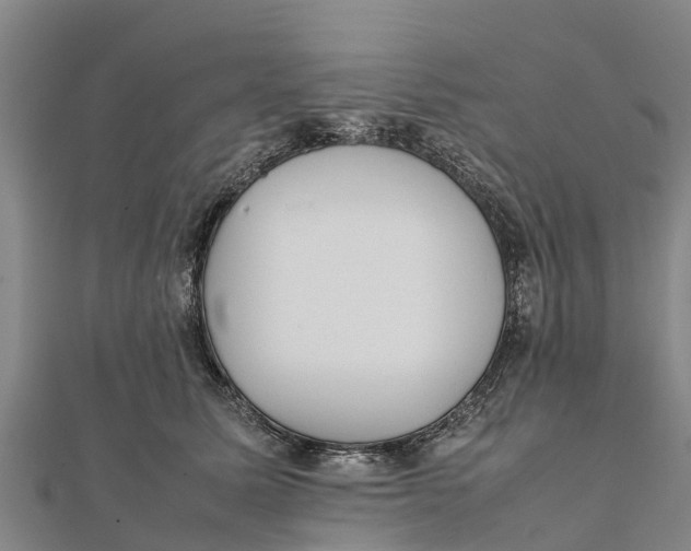 X0000111530611200908041306