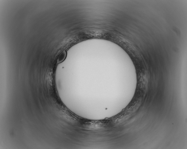 X0000111530612200908041306