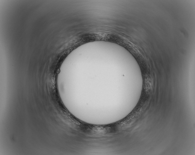 X0000111530613200908041306