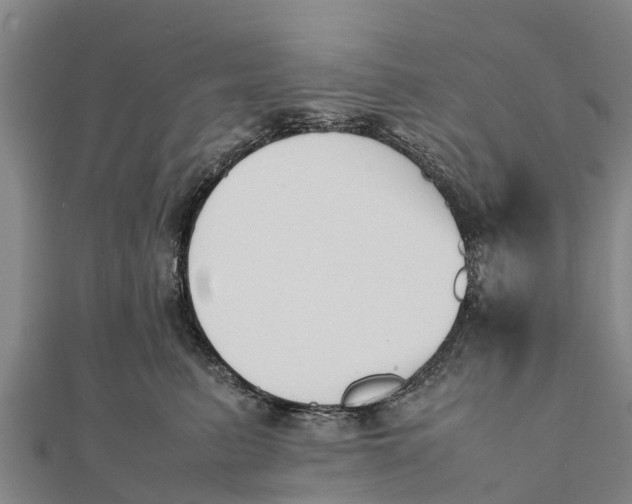 X0000111530615200908041306