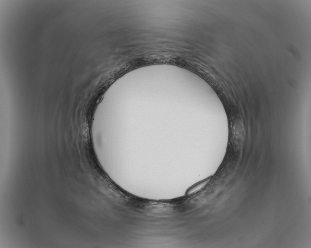 X0000111530617200908041306