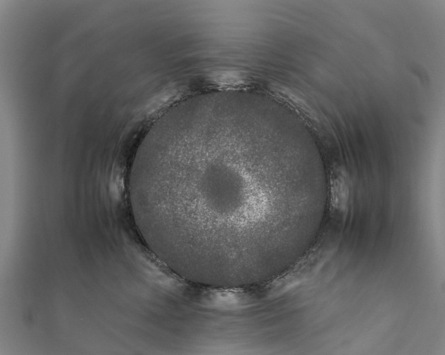 X0000111530618200908041306