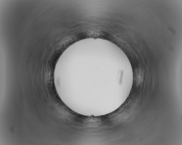 X0000111530619200908041306