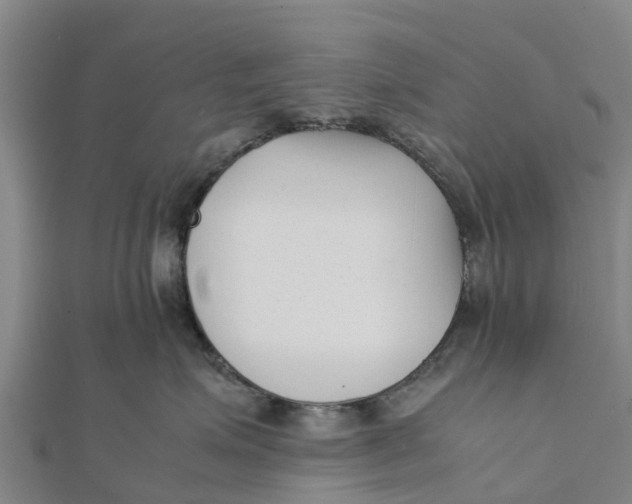 X0000111530623200908041306