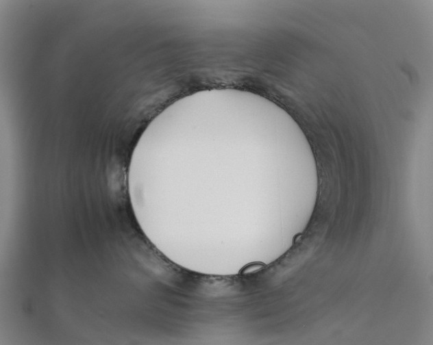 X0000111530624200908041306