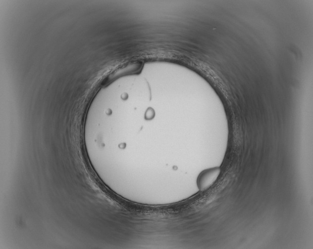 X0000111530625200908041305