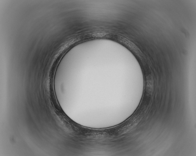 X0000111530626200908041305