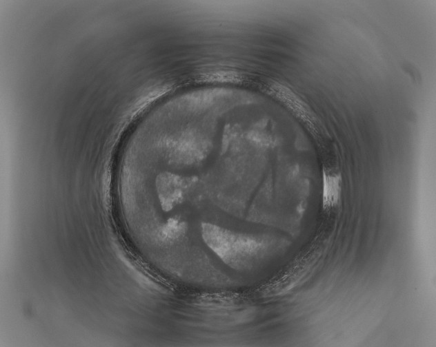 X0000111530627200908041305