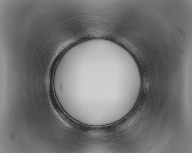 X0000111530630200908041305