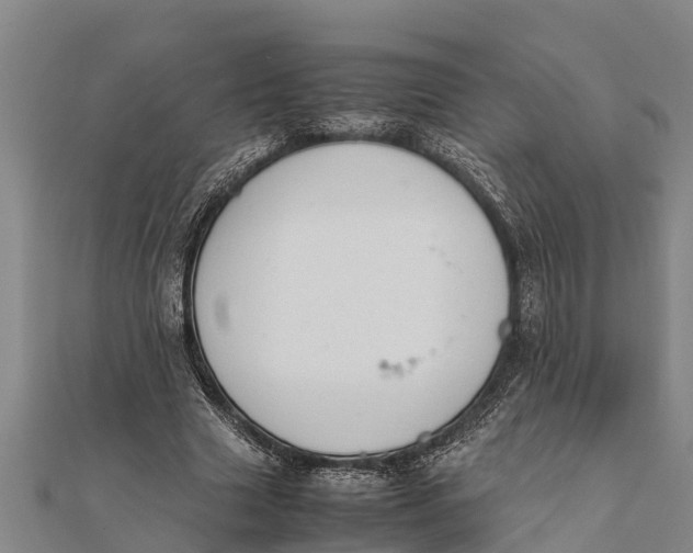 X0000111530633200908041305