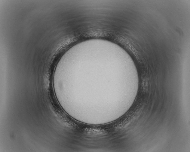 X0000111530635200908041305