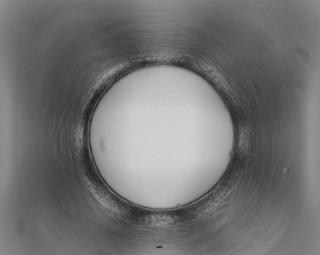 X0000111530636200908041305