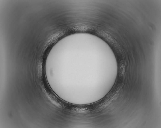 X0000111530638200908041305