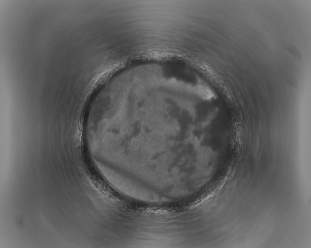 X0000111530640200908041305