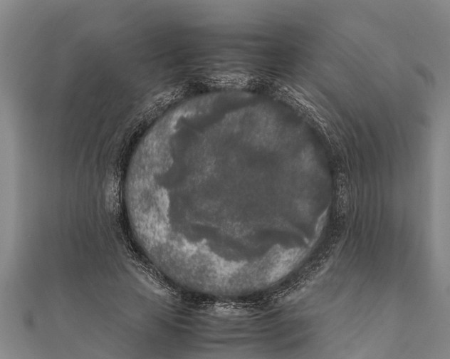 X0000111530641200908041305