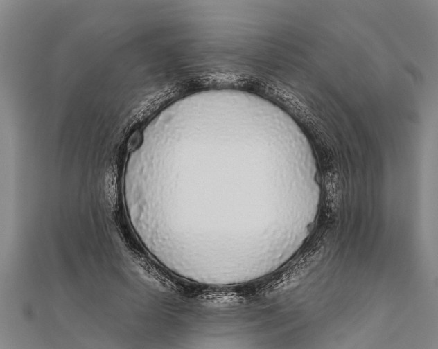 X0000111530642200908041305