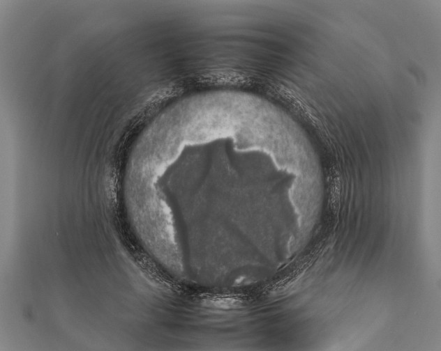 X0000111530643200908041305