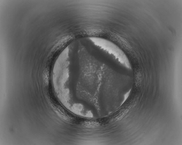 X0000111530644200908041305