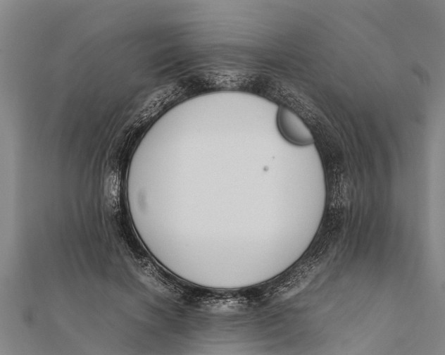 X0000111530646200908041305