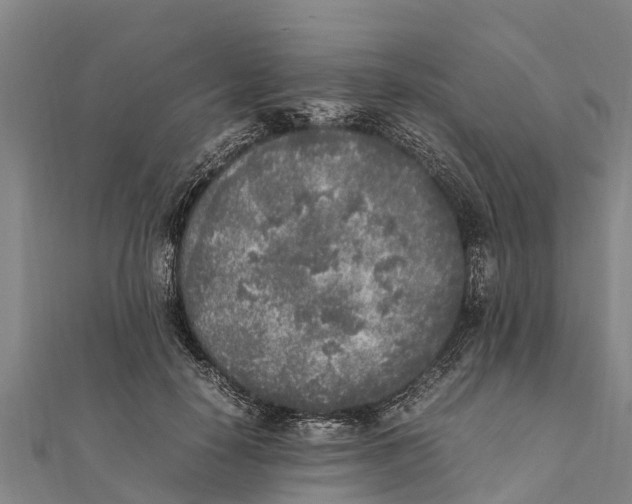 X0000111530650200908041305