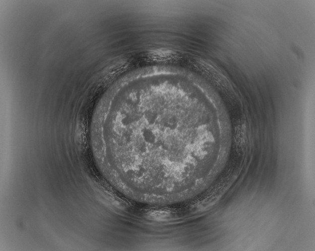 X0000111530653200908041305